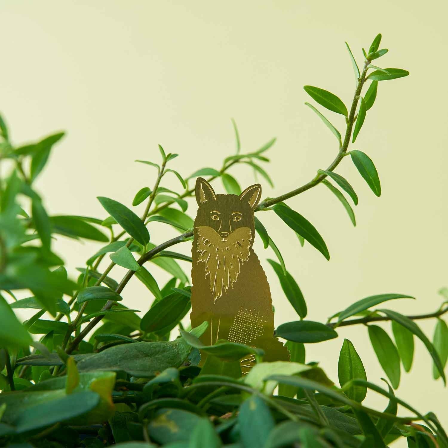 Plant Animals - Mammals - - Jungle House Plant Animals - Mammals - - Jungle House