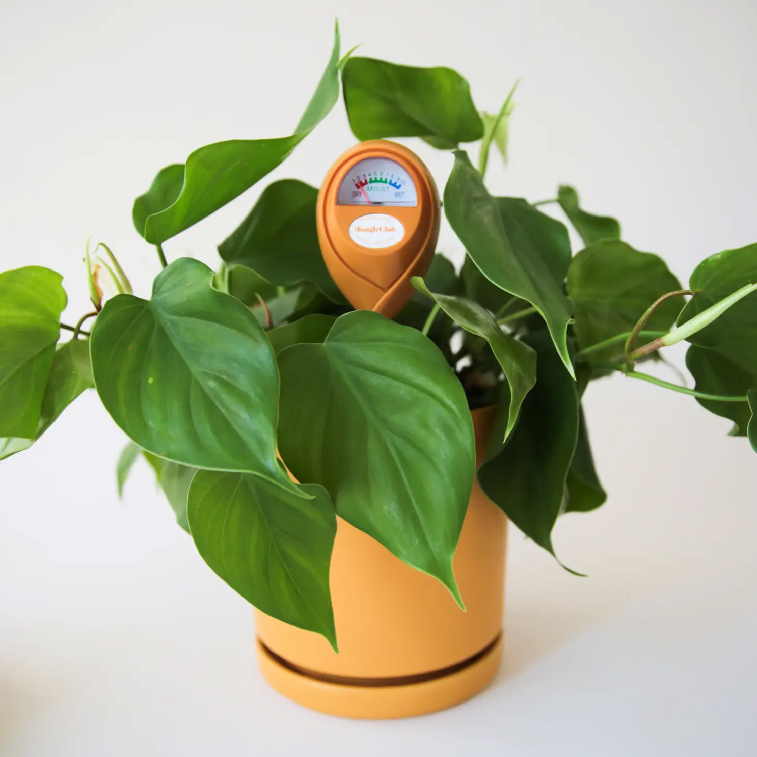 Orange Moisture Meter - Jungle House