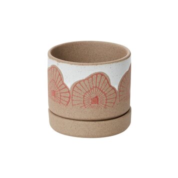 YELLOW Protea Pot w Saucer, 3"