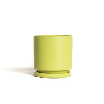 YELLOW Momma Pots Cylinder w/ Saucer Lime