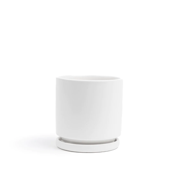 YELLOW Momma Pots Cylinder w/ Saucer White