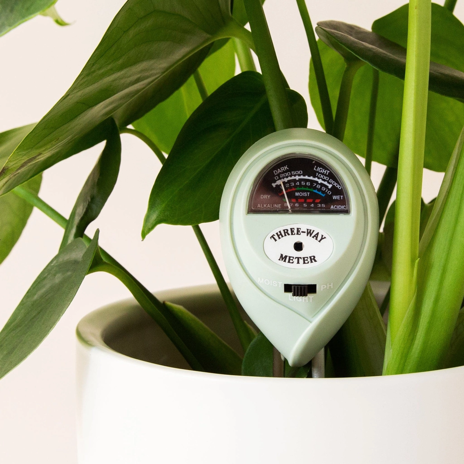 3-Way Moisture Meter Blue - Jungle House