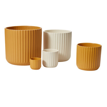 YELLOW Beam Off-White Pot