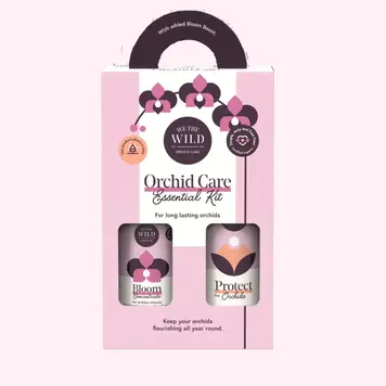 YELLOW Orchid Essentials Kit