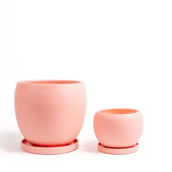 YELLOW Bolle Pots w Saucer Bubblegum