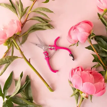 YELLOW Houseplant Pruning Shears Hibiscus Handles