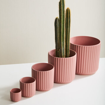 YELLOW Beam Pink Pot