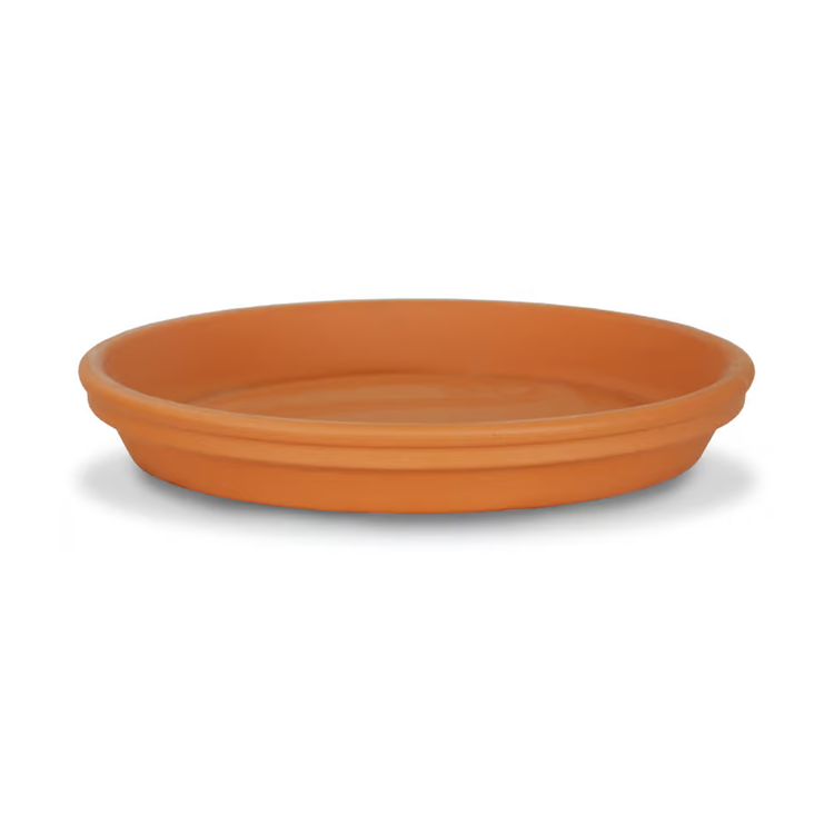 YELLOW Standard Terracotta Pots & Saucers