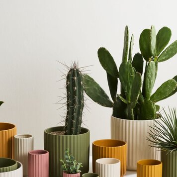 YELLOW Beam Green Pot