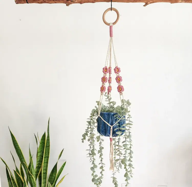 YELLOW Floral Daisy Macrame Hanger Champagne Pink