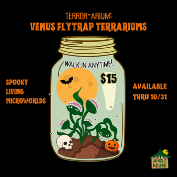 Permanent Activity | Terror-arium