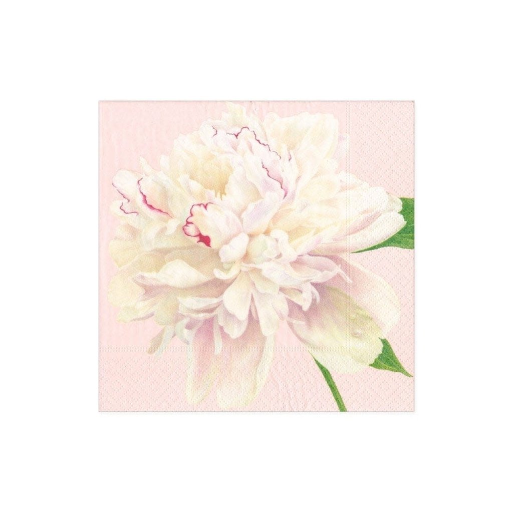 16890C Duchess Peonies Blush Cocktail Napkin