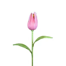 AC10102LP Giant Tulip 38in.