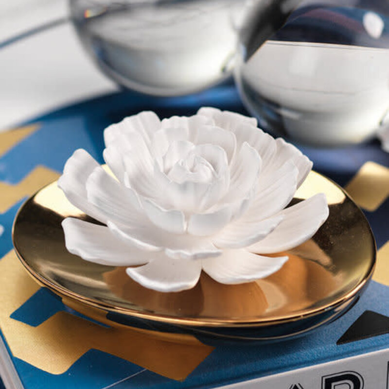 Dream Porcelain Flower Diffuser - White Rose