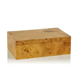 Leiden Burl Wood Design Box - Large
