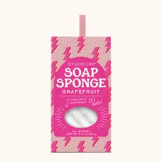Charged Up Soap Sponge