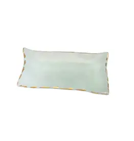 Annie Glass Shells Rock Dish