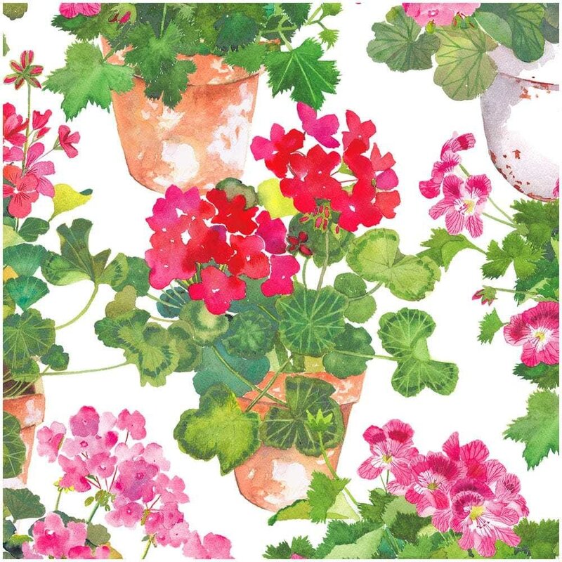 Trailing Geranium Cocktail Napkin