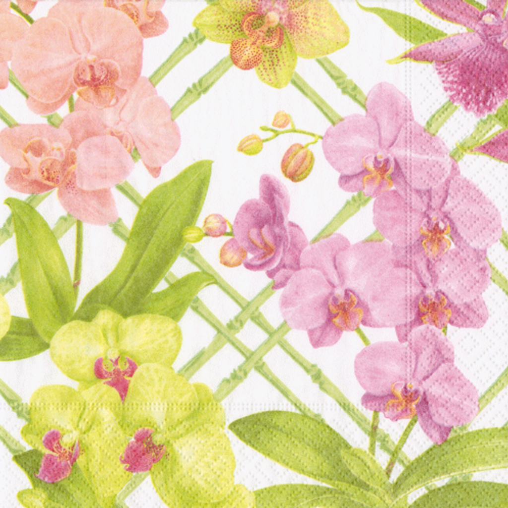 Orchid Conservatory Luncheon Napkin