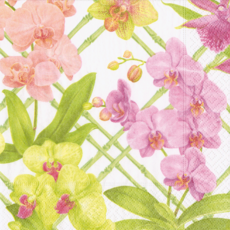 Orchid Conservatory Luncheon Napkin