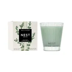 Wild Mint & Eucalyptus Classic Candle 8oz