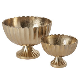 Scallop Compote Large