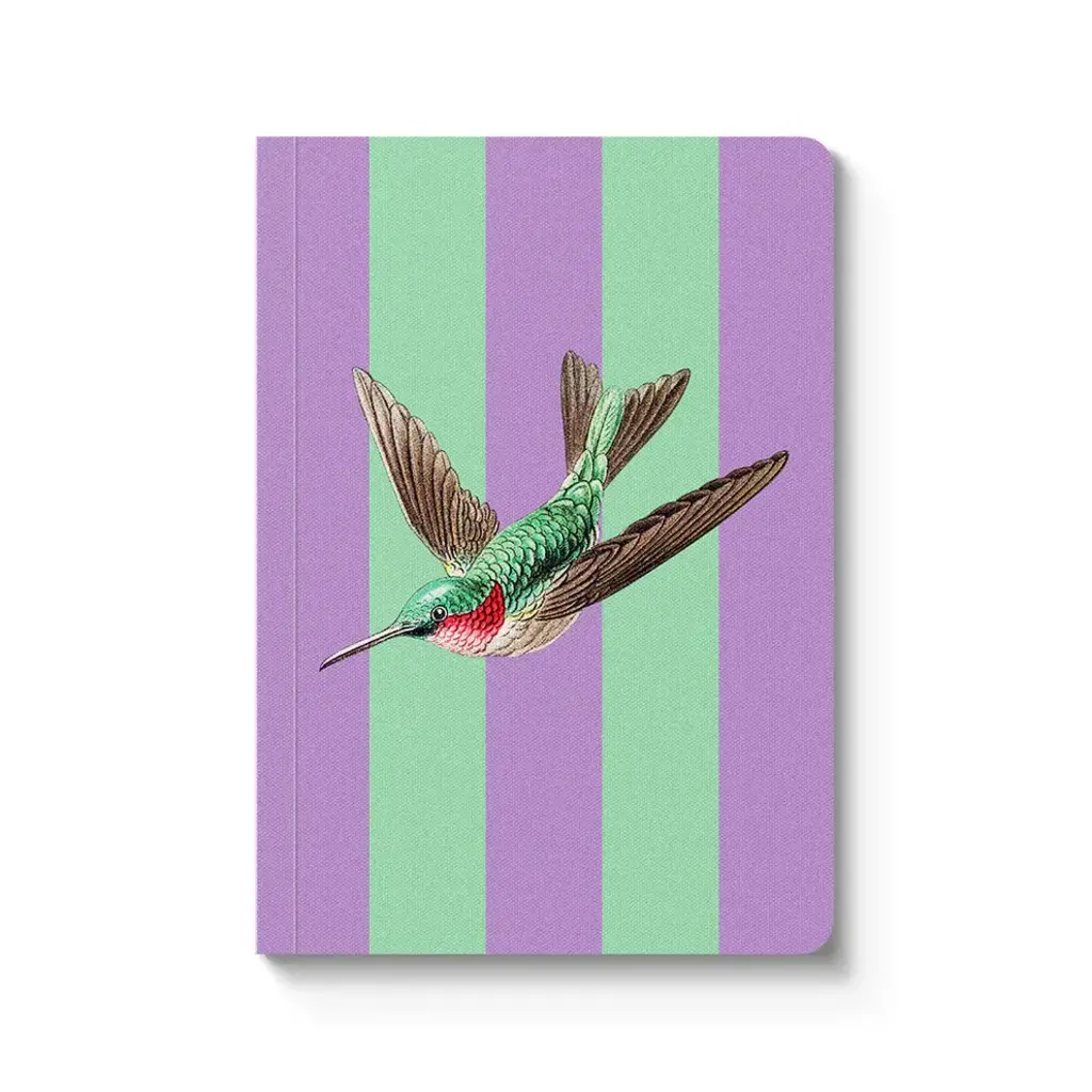 Striped Hummingbird Paperback Notebook
