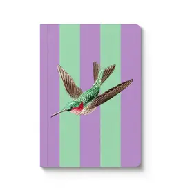 Striped Hummingbird Paperback Notebook