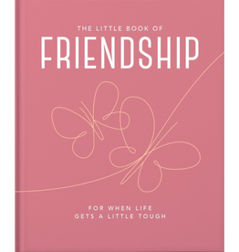 Little Book of Friendship