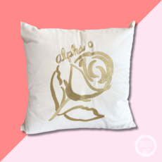 Over The Moon AOPI Velvet Square Pillow