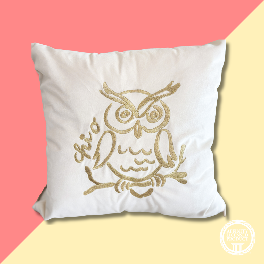Over The Moon CHIO Velvet Square Pillow