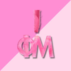 Taylor A Designs PHI MU Acrylic Ornament