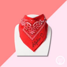 Over The Moon AOPI Embroidered Bandana
