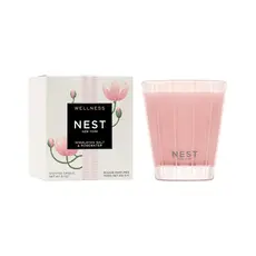 NEST New York Himalayan Salt & Rosewater Classic Candle 8.1oz