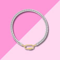 Hjane Jewels Two Toned Carabiner Necklace