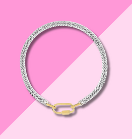 Hjane Jewels Two Toned Carabiner Necklace