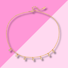 Hjane Jewels Shay Charm Necklace