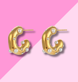Hjane Jewels Dallas Hoops