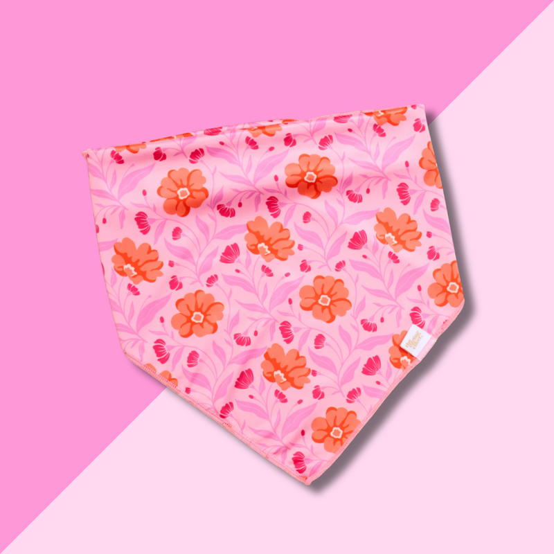 Pet Bandana L/XL - Poppin Petals Hot Pink