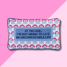 Uncomfortable Needlepoint Pillow