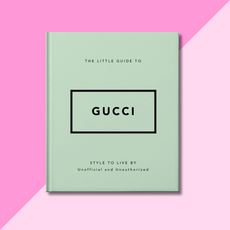 Little Guide to Gucci