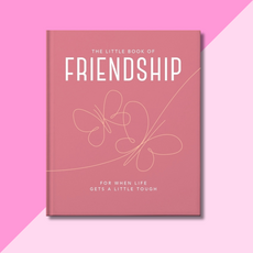 Little Book of Friendship