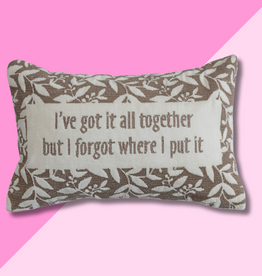 I've Got It All Velvet Lumbar Pillow
