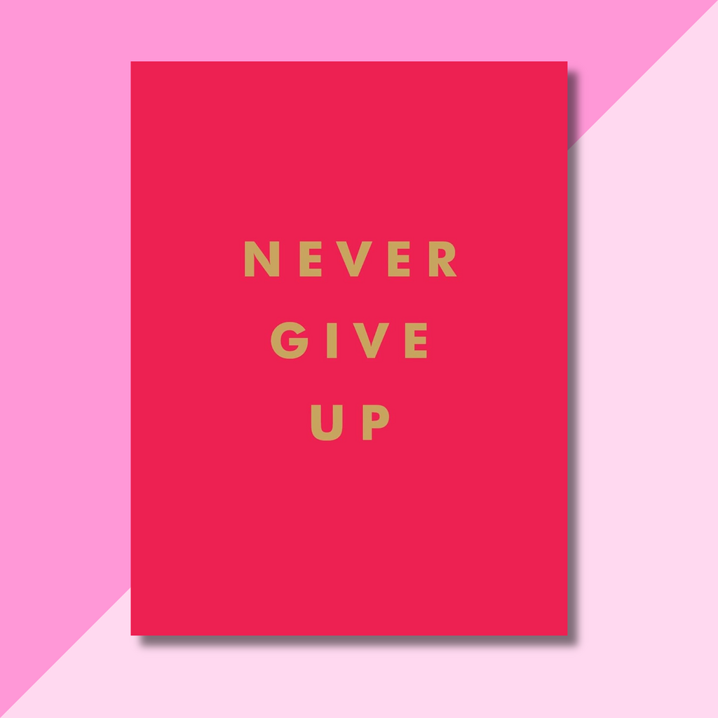 Never Give Up Book