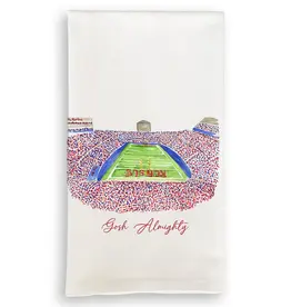 Football Stadium Dishtowel