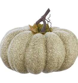 9.5"Hx11.5"D Pumpkin Green