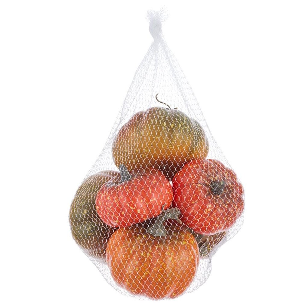 Pumpkins in Net Orange Green