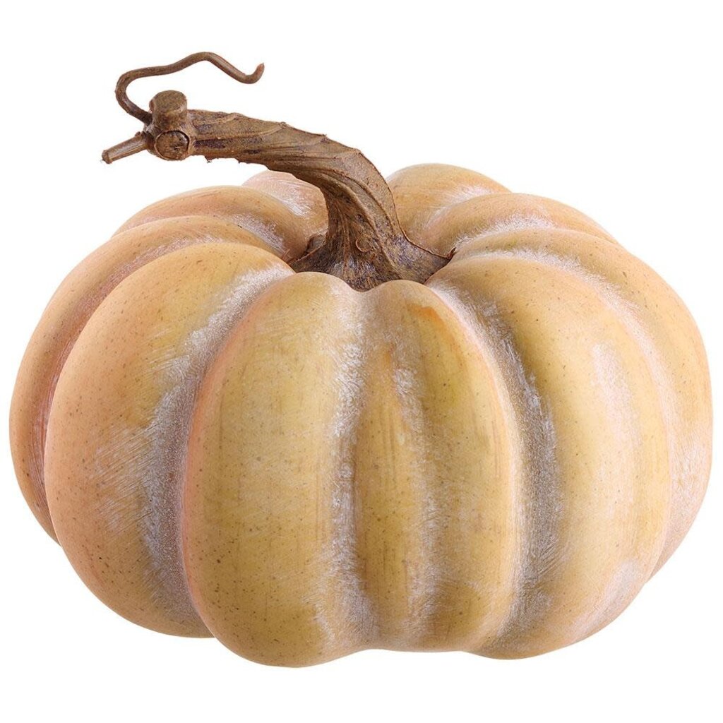 5.5"Hx6.5"D Pumpkin Orange Green
