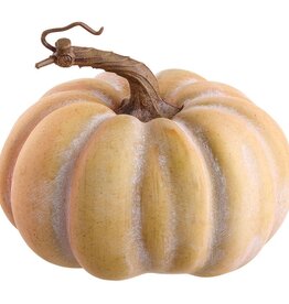 5.5"Hx6.5"D Pumpkin Orange Green