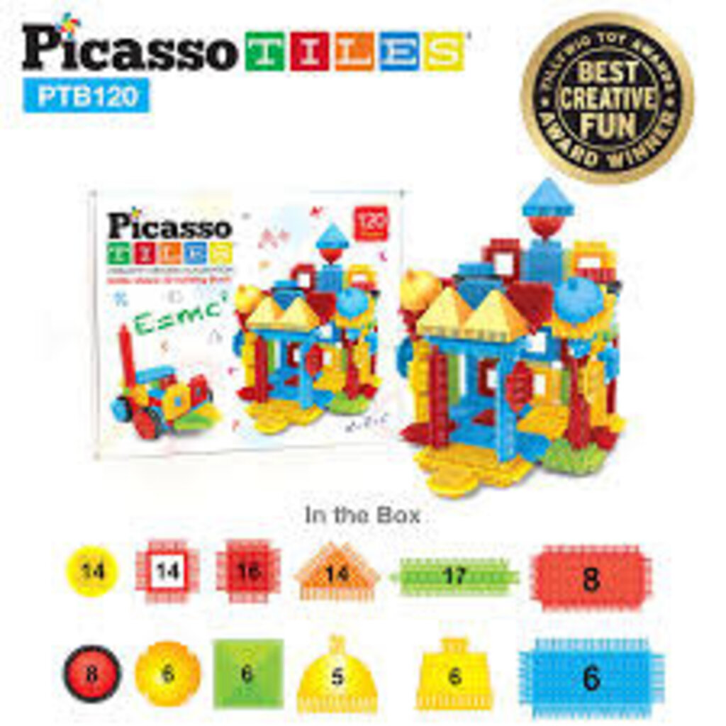 PICASSO 120 pc Bristle Block Set